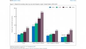 bar chart detailing that maternal mortality increased at a faster rate for non-Hispanic Black people than for non-Hispanic White or Hispanic people